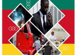 salon de l’emploi (virtuel) en collaboration avec le Fonds National de l’Emploi du Cameroun (Le Fonds National de l’Emploi est un organisme public camerounais chargé de la promotion de l’emploi sur l’ensemble du territoire camerounais).