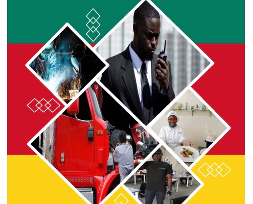 salon de l’emploi (virtuel) en collaboration avec le Fonds National de l’Emploi du Cameroun (Le Fonds National de l’Emploi est un organisme public camerounais chargé de la promotion de l’emploi sur l’ensemble du territoire camerounais).